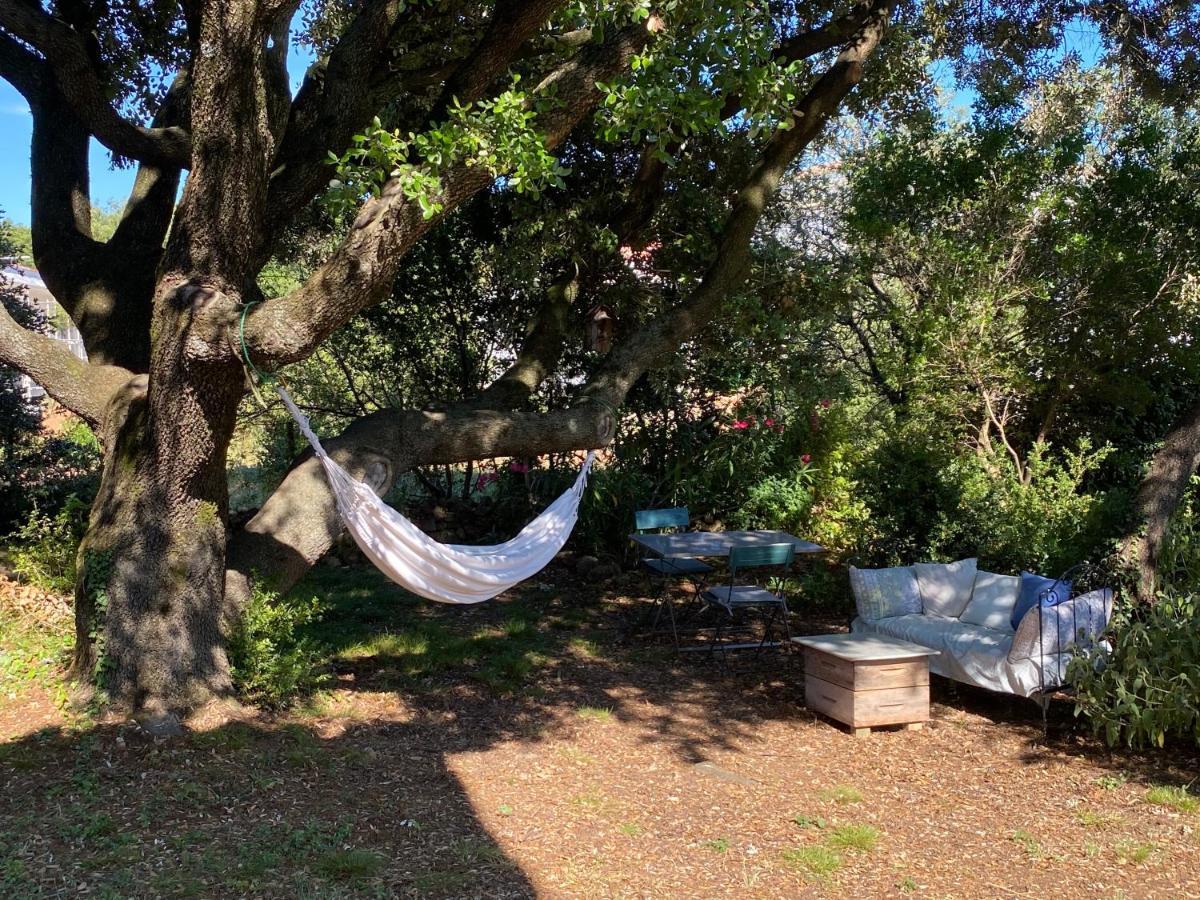 BnB à la Carte Viols-en-Laval Extérieur photo